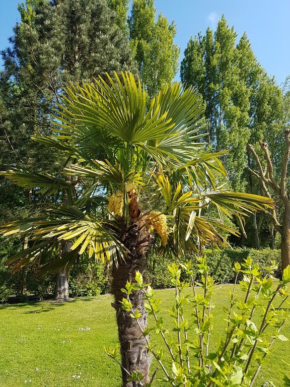 Hotel Du Golf Cabourg Esterno foto